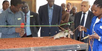 Judge(Retired) Hon. Joseph Warioba, Chancellor of SUA Amazed by Ongoing Research Technology at Pest Management Centre in Association With APOPO.